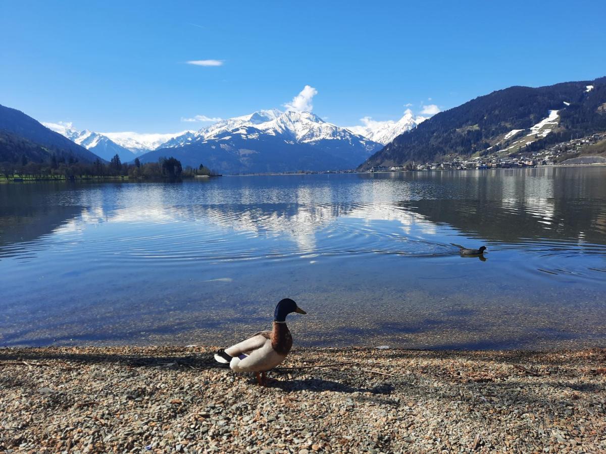Bio-Bergbauernhof Hubgut Villa Zell am See Kültér fotó