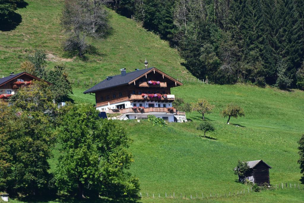 Bio-Bergbauernhof Hubgut Villa Zell am See Kültér fotó