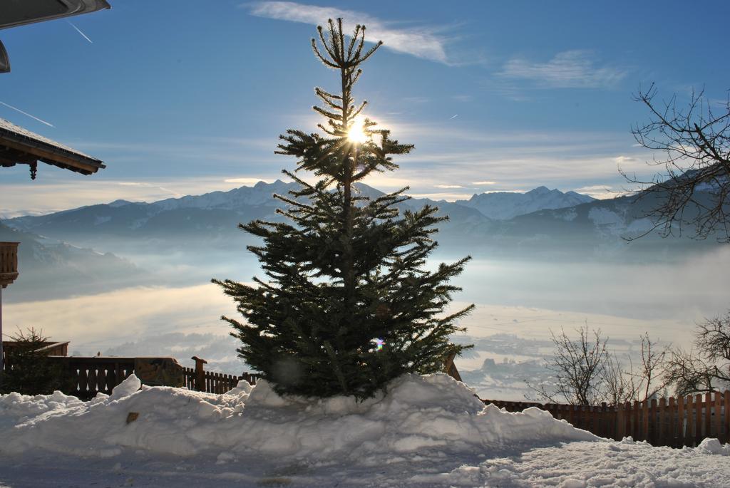 Bio-Bergbauernhof Hubgut Villa Zell am See Kültér fotó