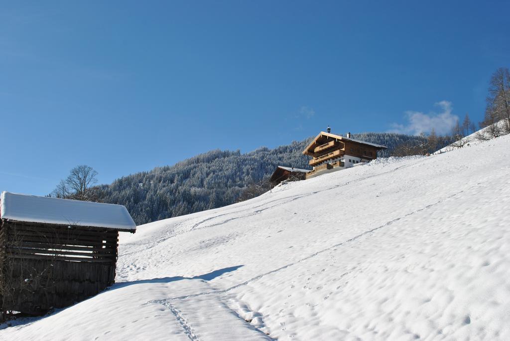 Bio-Bergbauernhof Hubgut Villa Zell am See Kültér fotó