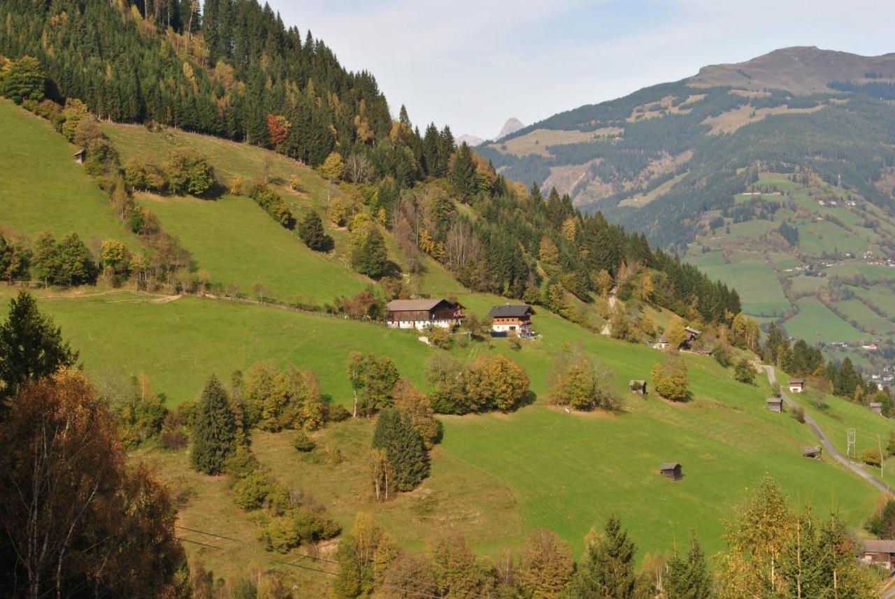 Bio-Bergbauernhof Hubgut Villa Zell am See Kültér fotó